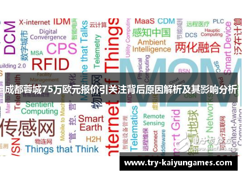 成都蓉城75万欧元报价引关注背后原因解析及其影响分析