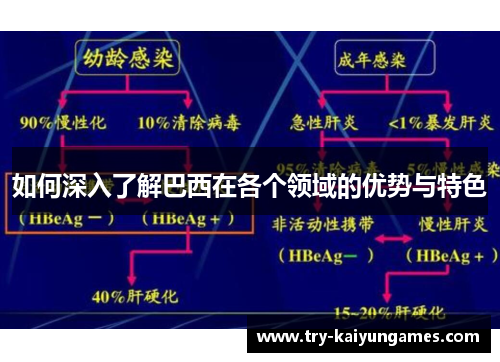 如何深入了解巴西在各个领域的优势与特色