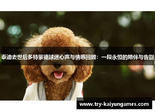 泰迪去世后多特蒙德球迷心声与情感回顾：一段永恒的陪伴与告别