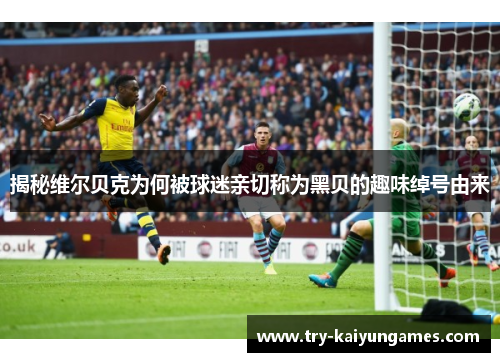 揭秘维尔贝克为何被球迷亲切称为黑贝的趣味绰号由来