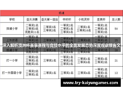 深入解析澳洲杯赛事赛程与竞技水平的全面发展态势深度观察报告文